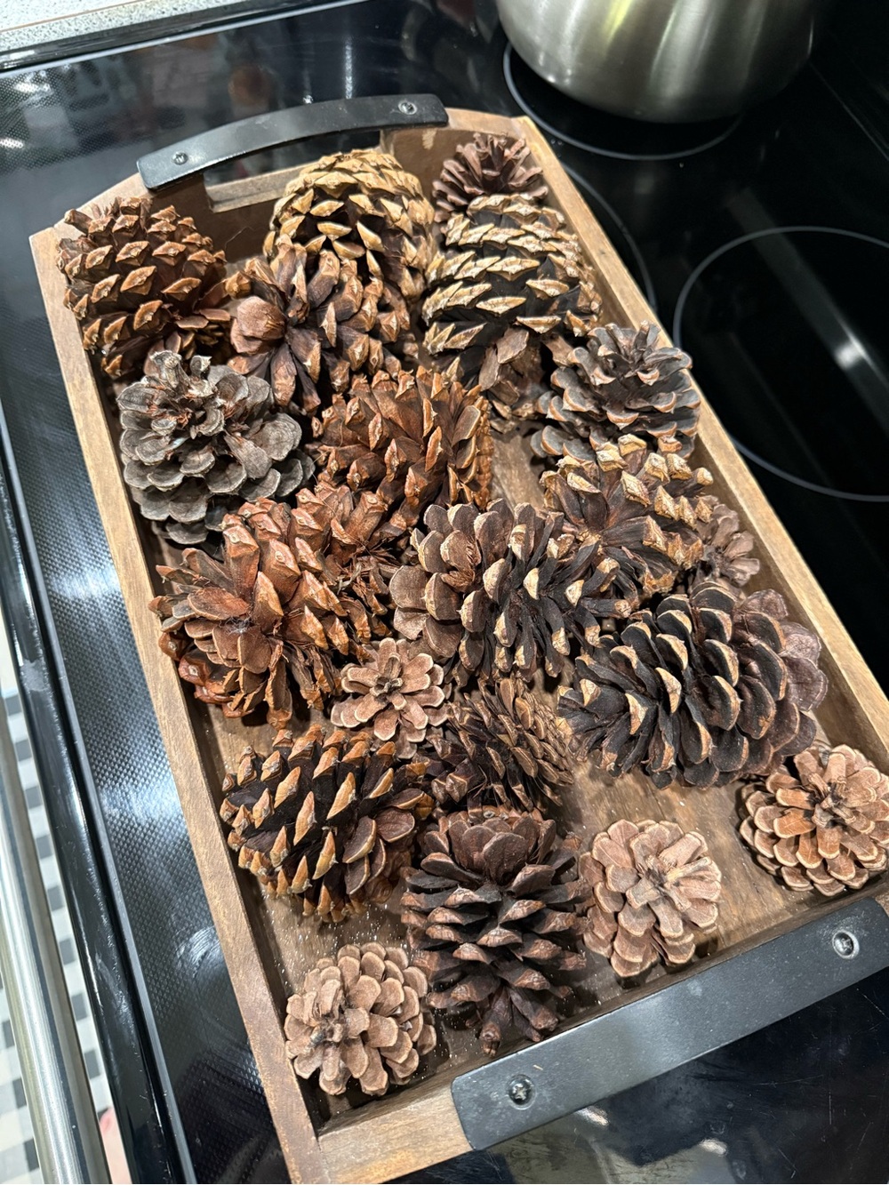 Rustic Pinecone Tray Display - Natural Brown Accent